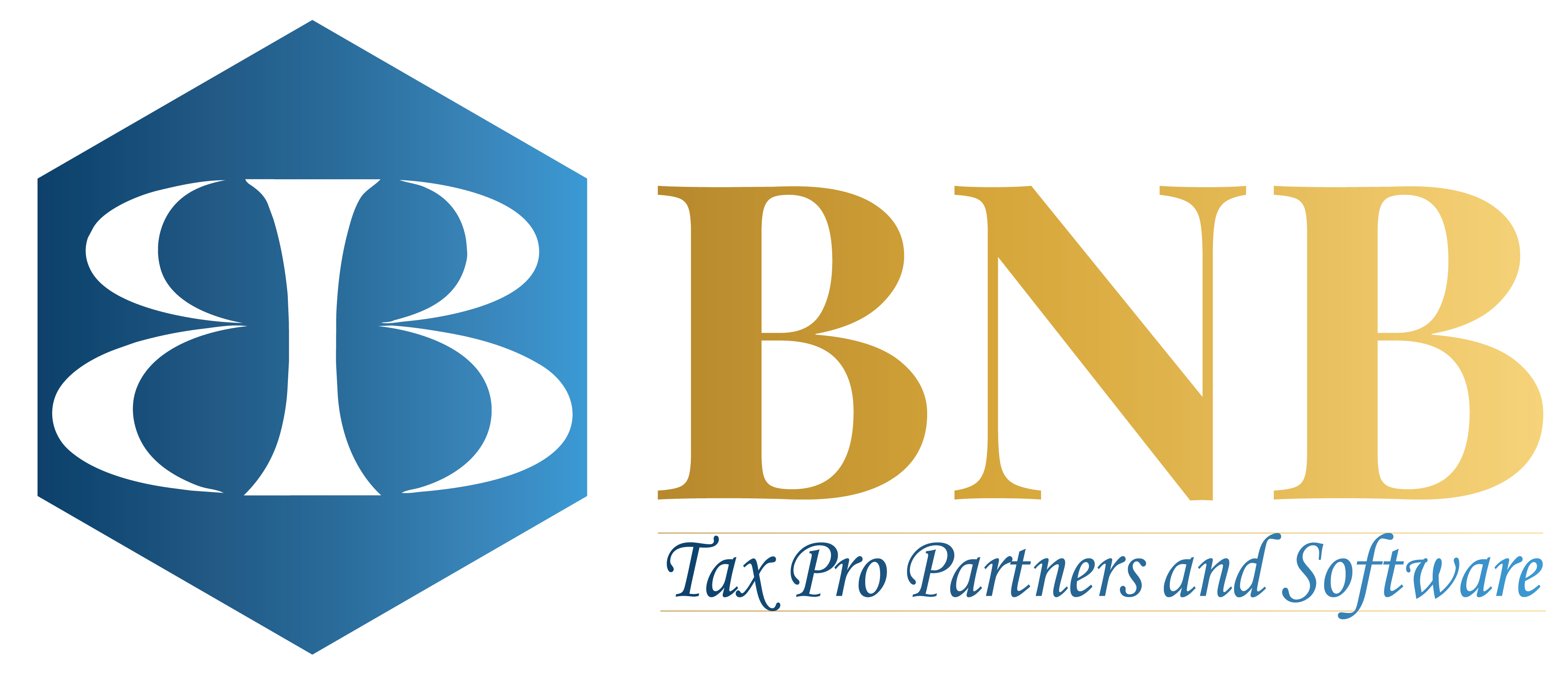 BNB Tax Pro Partners and Software